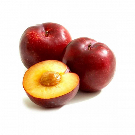 Слива красная