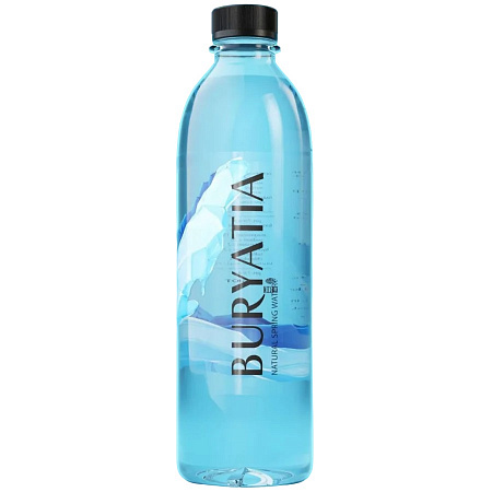 Вода питьевая Бурятия негаз.1л п/б